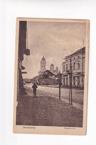 D3181 postcard semendria main - d3181),